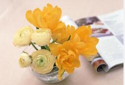 武汉白癜风医院青睐帅海林